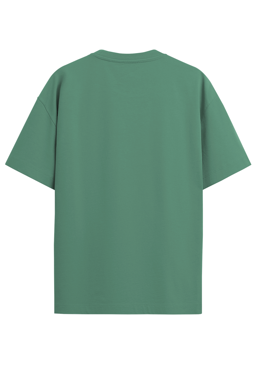 THEWAYOUTH MINT 240GSM OVERSIZED T-SHIRT
